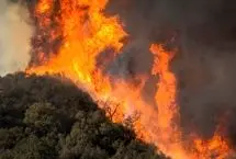  آتش‌سوزی جنگل‌های الیت تقریبا به‌طور کامل مهار شد