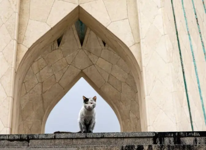 تصاویر؛ غبار انفجار بر تن تهران