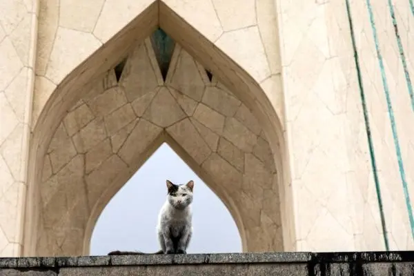 تصاویر؛ غبار انفجار بر تن تهران