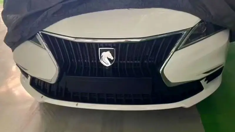 ایکو اینووی