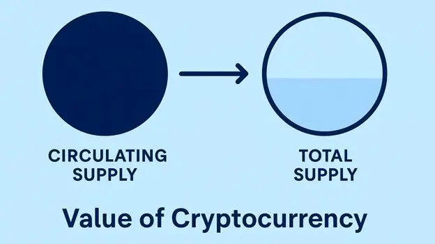 عرضه در گردش و عرضه کل چیست و چطور روی ارزش یک ارز اثر می‌گذارد؟
