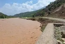 سیلاب اخیر، فیل‌ها را از نپال به هند منتقل کرد