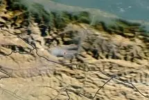 تصاویر ماهواره‌ای از منطقه آتش‌سوزی در جنگل الیت چالوس

