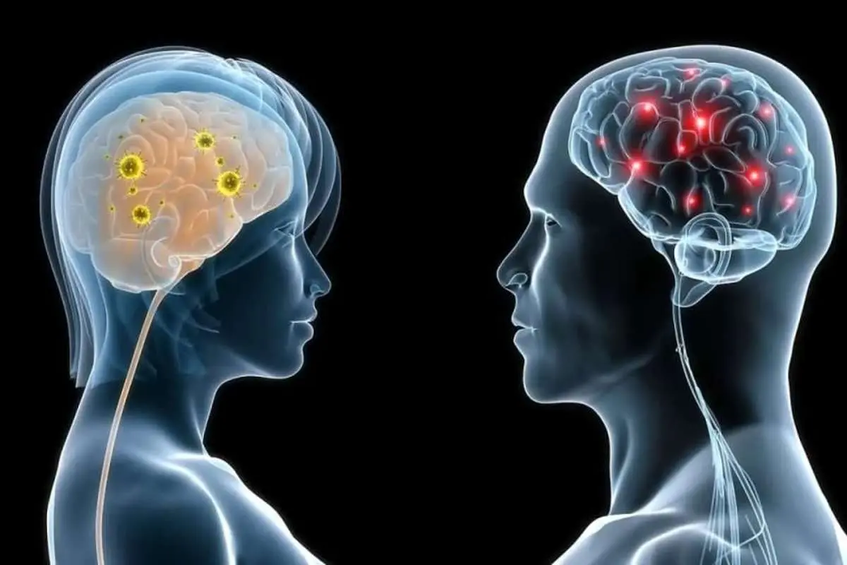 صدها ژن در مغز مردان و زنان متفاوت عمل می‌کنند