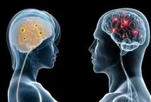 صدها ژن در مغز مردان و زنان متفاوت عمل می‌کنند