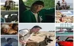 10 فیلم متفاوت درباره سفر و جاده؛ از «صراط» تا «کتاب سبز»