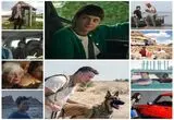 10 فیلم متفاوت درباره سفر و جاده؛ از «صراط» تا «کتاب سبز»