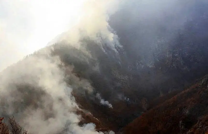 گزارش تازه استاندار مازندران از آتش‌سوزی الیت/ ۸ هکتار خسارت دید