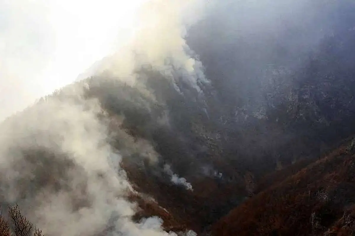 گزارش تازه استاندار مازندران از آتش‌سوزی الیت/ ۸ هکتار خسارت دید