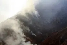 گزارش تازه استاندار مازندران از آتش‌سوزی الیت/ ۸ هکتار خسارت دید