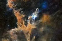 عکس روز ناسا: چشم‌انداز خیره‌کننده صورت فلکی آفتاب‌پرست