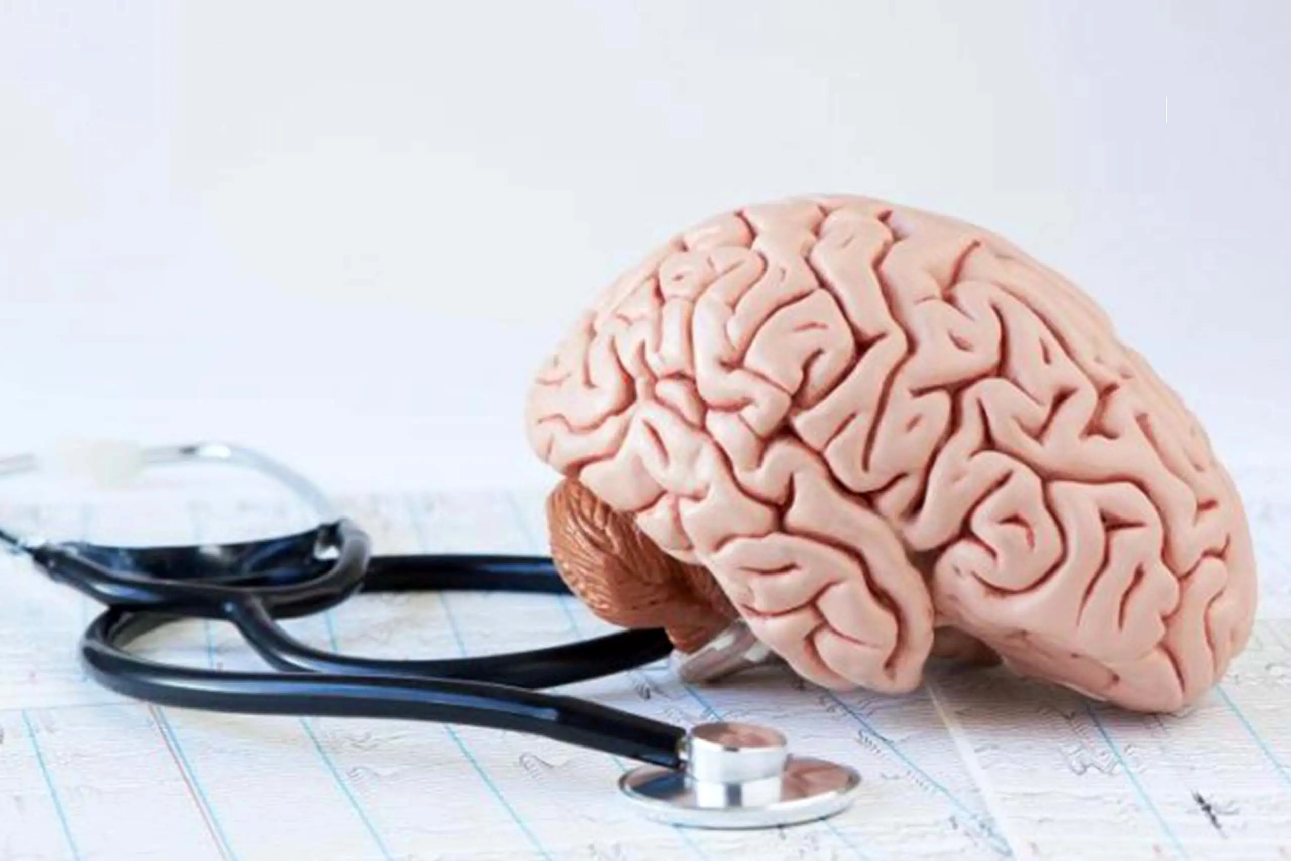 تاثیر یک ماده مغذی در پیشگیری از آلزایمر