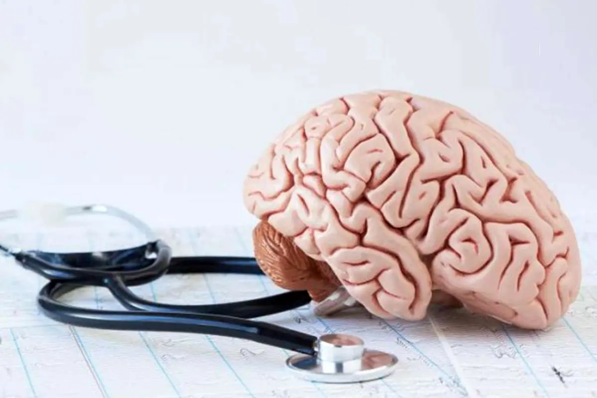 تاثیر یک ماده مغذی در پیشگیری از آلزایمر