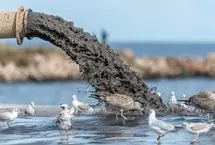 تالاب انزلی زیر تیغ پساب‌ها
