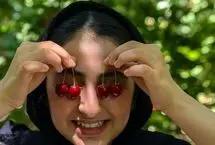 تصاویر؛ برداشت آلبالو و گیلاس از باغ‌های روستای کندر