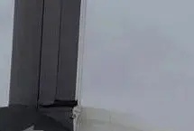 بازگشت مهاجر اخراج شده به خاک آمریکا