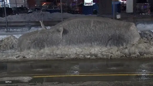 یخ‌زدگی کامل خودروها در فیلادلفیا پس از سرمای شدید