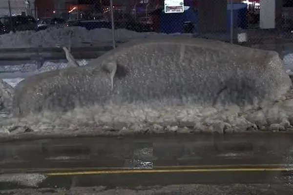 یخ‌زدگی کامل خودروها در فیلادلفیا پس از سرمای شدید