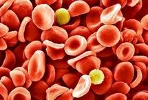 نادرترین گروه خونی جهان بالاخره شناسایی شد