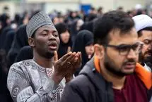 تصاویر؛ نماز عید فطر در حرم حضرت معصومه(س)