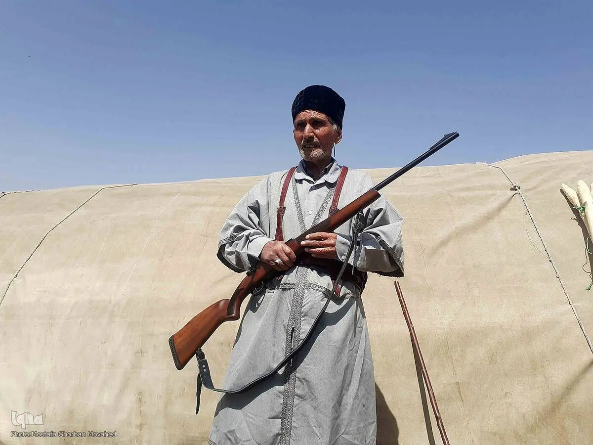 گالری