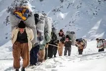 مواد اولیه پتروشیمی روی دوش کولبران؟