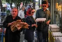 لبنیات، روغن و تخم‌مرغ ارزان‌ در راه بازار