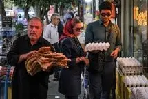 لبنیات، روغن و تخم‌مرغ ارزان‌ در راه بازار
