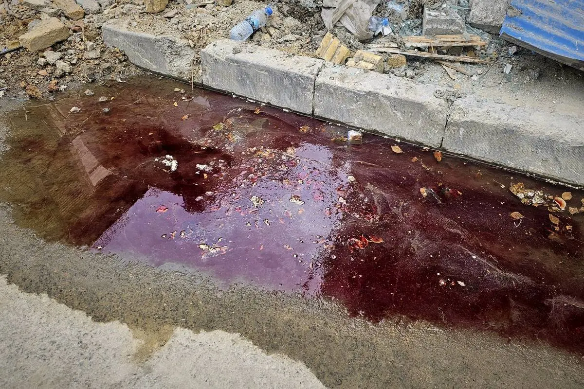 گالری