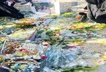 روایت بی‌پناهی «ملیکا» در بیابان/ برادر مقتول جزئیات جدیدی را فاش کرد
