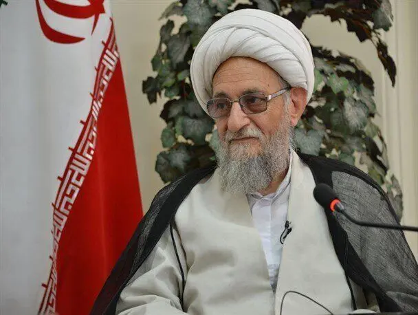 عضو خبرگان: دولت در کنترل قیمت‌ها موفق نبود؛ حتی اشتباه هم کرد