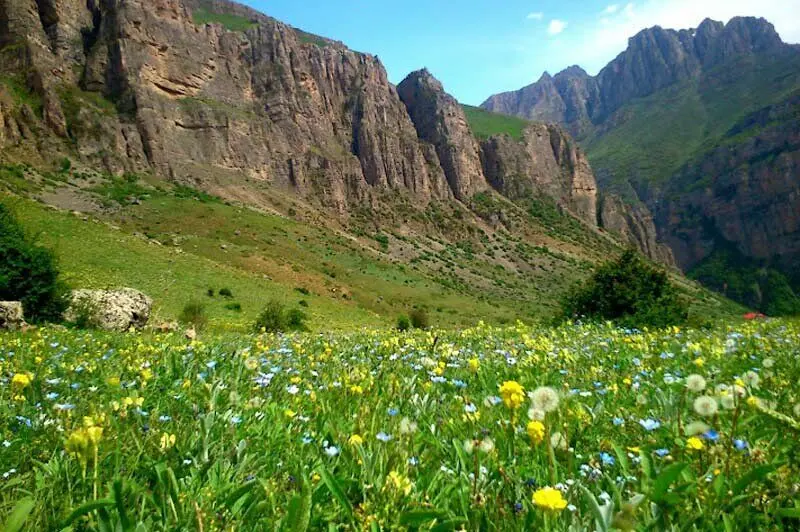 گردشگری