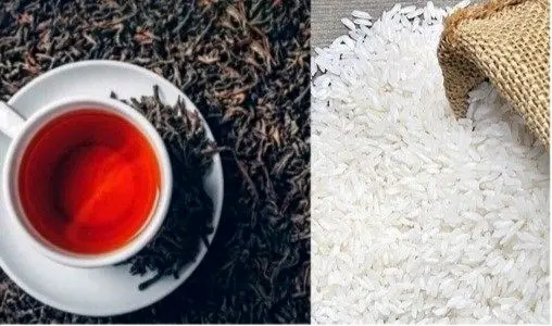 بعد از چای دبش، حالا نوبت برنج دبش است/ این حجم رانت به جیب چه کسی می‌رود؟