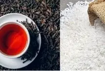 بعد از چای دبش، حالا نوبت برنج دبش است/ این حجم رانت به جیب چه کسی می‌رود؟