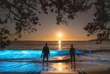 پدیده آب نورانی در سواحل اوکلند گردشگران را مسحور کرد