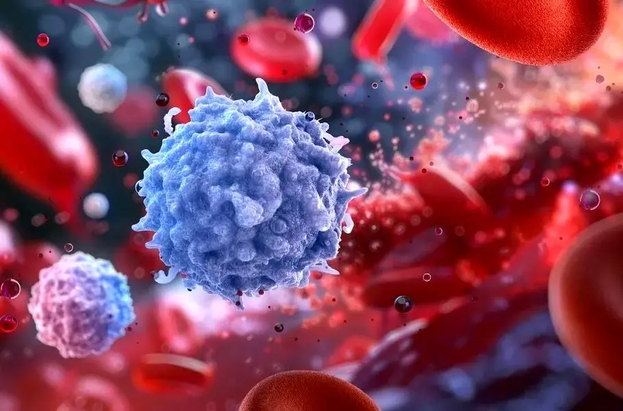 ابداع دانشمندان MIT سیستم ایمنی پیر را دوباره جوان کرد