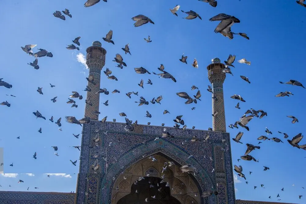 تصاویر؛ فرونشست در مسجد جامع اصفهان