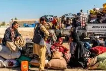 دانشگاه از پرداختن به مهاجران جا ماند