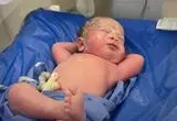 ژست پادشاهانه نوزاد تازه متولد شده پربازدید شد