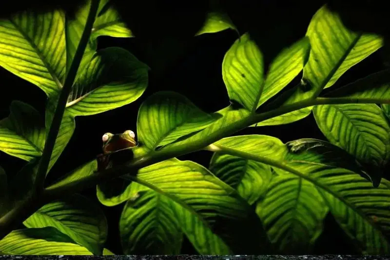 تصاویر حیات وحش ۲۰۲۵