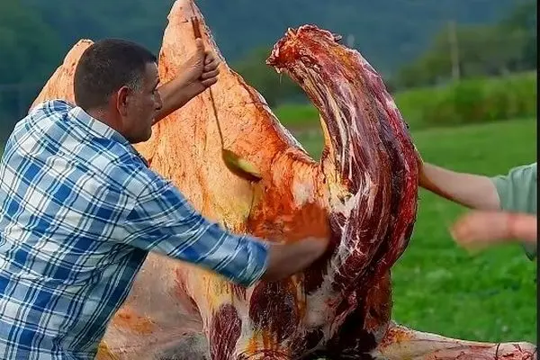 ویدئویی پربازدید از پخت یک شتر؛ غذای مورد علاقه فراعنه!