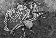 کشف شواهدی از «سگ‌خواری» در اروپای 2500 سال قبل
