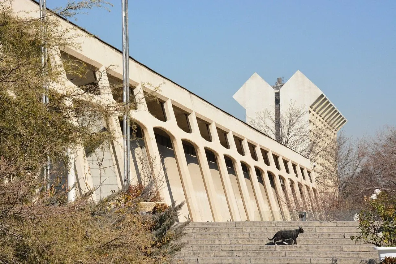 ماجرای قطع درختان موزه فرش/ عصبانیت مدیر موزه از منتقدان 