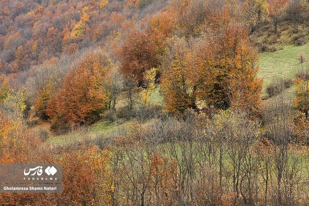 عکس صفحه گوشی پاییز