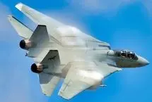 چرا به جنگنده اف 14، تامکت می‌گویند؟