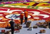 نمایش خیره‌کننده فرش گل بروکسل