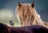 تصاویر؛ زیبایی در میان ویرانی؛ نگاهی از لنز عکاسان به طبیعت در دل بحران‌ها
