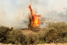 آتش‌سوزی گسترده در پارک ملی گلستان؛ درخواست بالگرد و اعزام نیروی تازه نفس