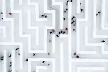 تصاویر؛ بزرگ‌ترین هزارتوی برفی اروپا