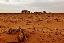 جهان تا چند سال دیگر در خشکسالی غرق می‌شود!